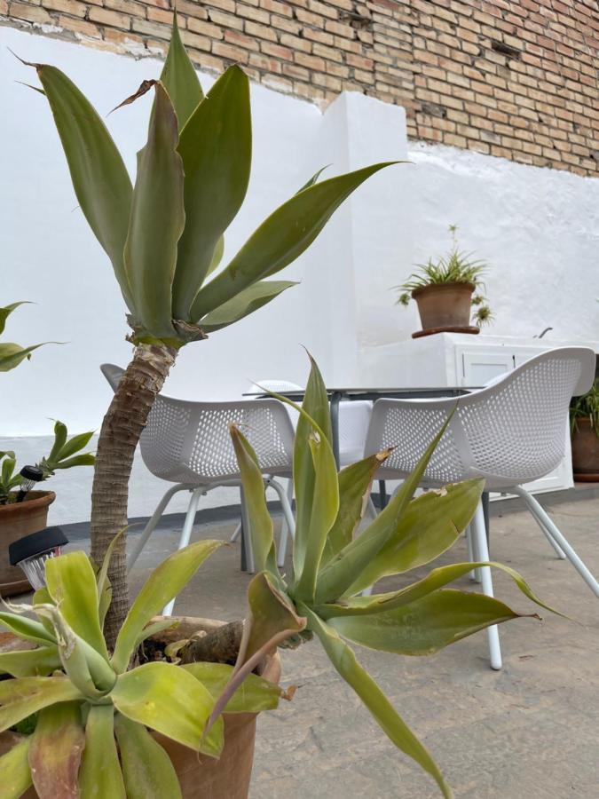 Carmela Apartment. Almuñécar Dış mekan fotoğraf